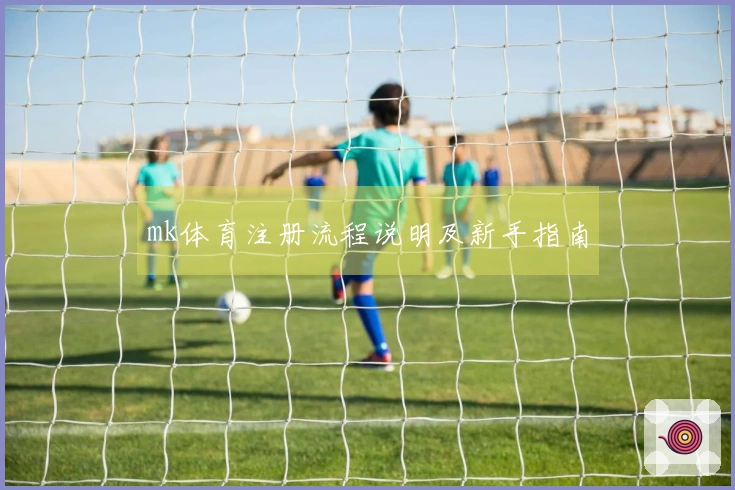 mk体育注册流程说明及新手指南